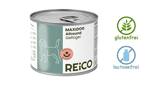 MaxiDogVit Geflügel - Reico Nassfutter