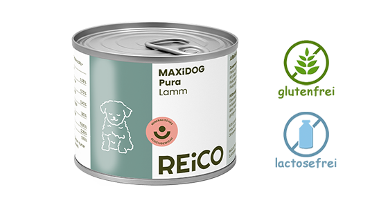 MaxiDogVit Schonkost Lamm - Reico Nassfutter