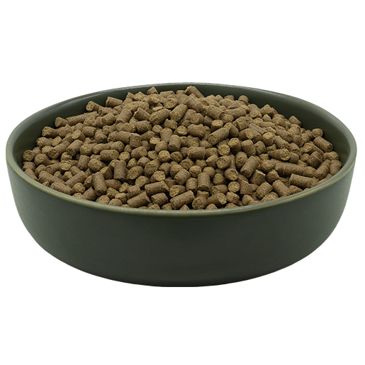 MAXiDOG Pura Lamm - Monoprotein Trockenfutter