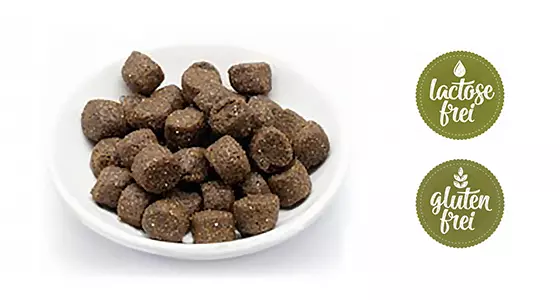 Reico MaxiDog Energy für Hunde mit hohem Energiebedarf