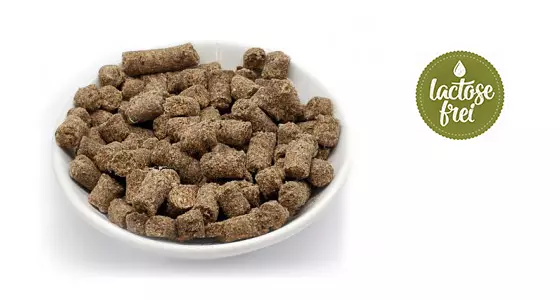 MaxiDog Krokett, das leicht verdauliche Trockenfutter von Reico