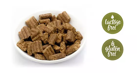 Reico MaxiDog Olymp für alle Hunderassen