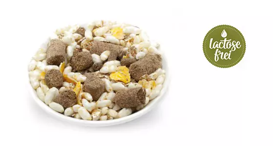 MaxiDog Rind Lamm Reis für ältere Hunde