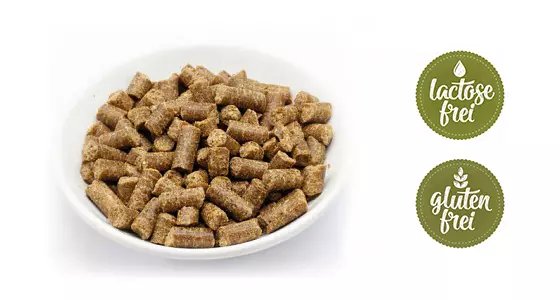 Reico MaxiDog Sensiv für sensible Hunde