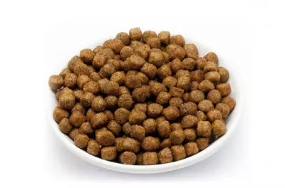 Reico Welpenfutter MaxiDog Junior