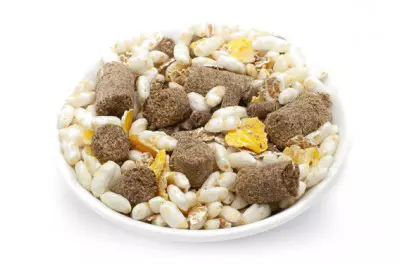 Trockenfutter für ältere Hunde