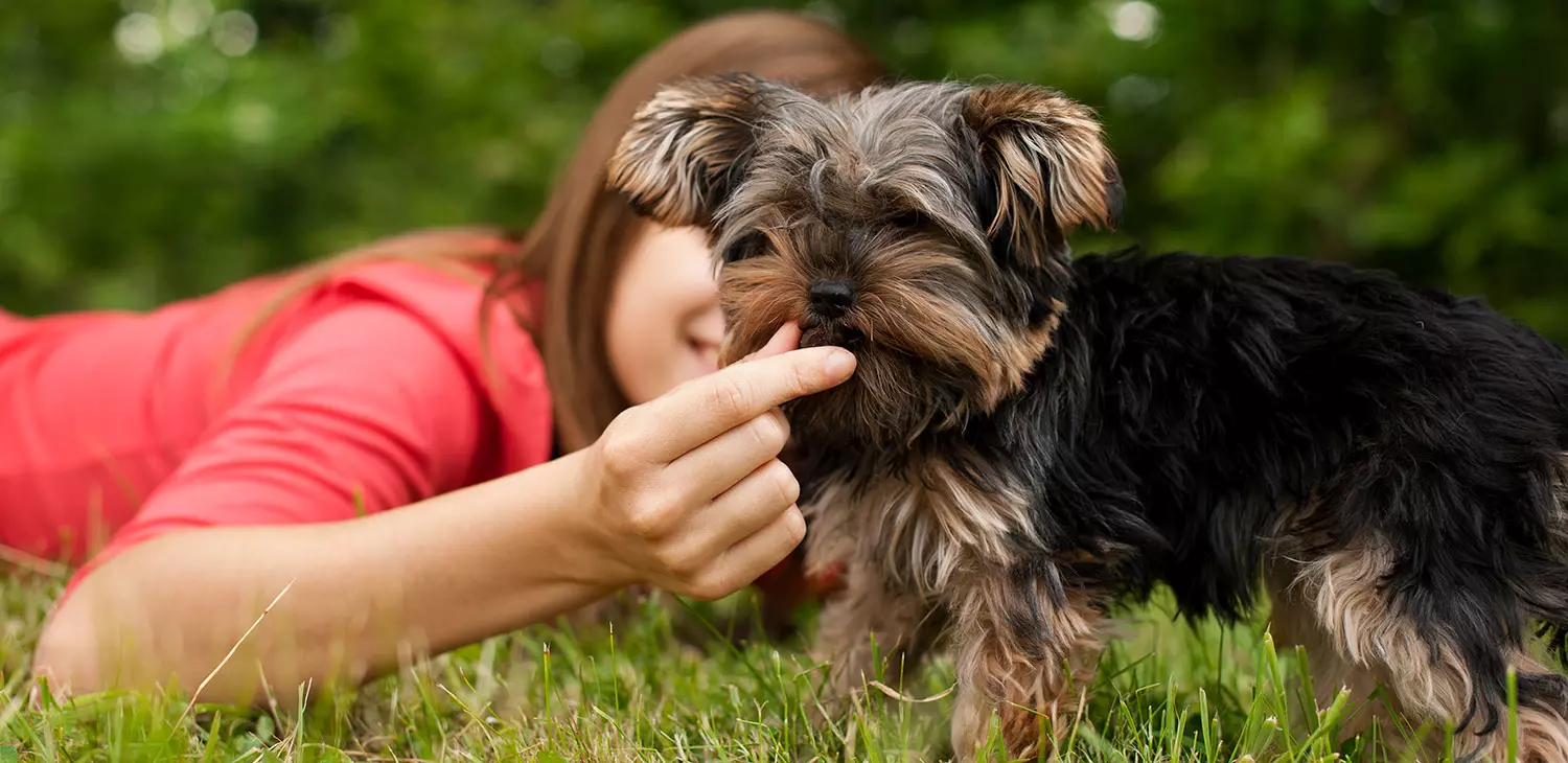 Reico Vertriebspartner werden